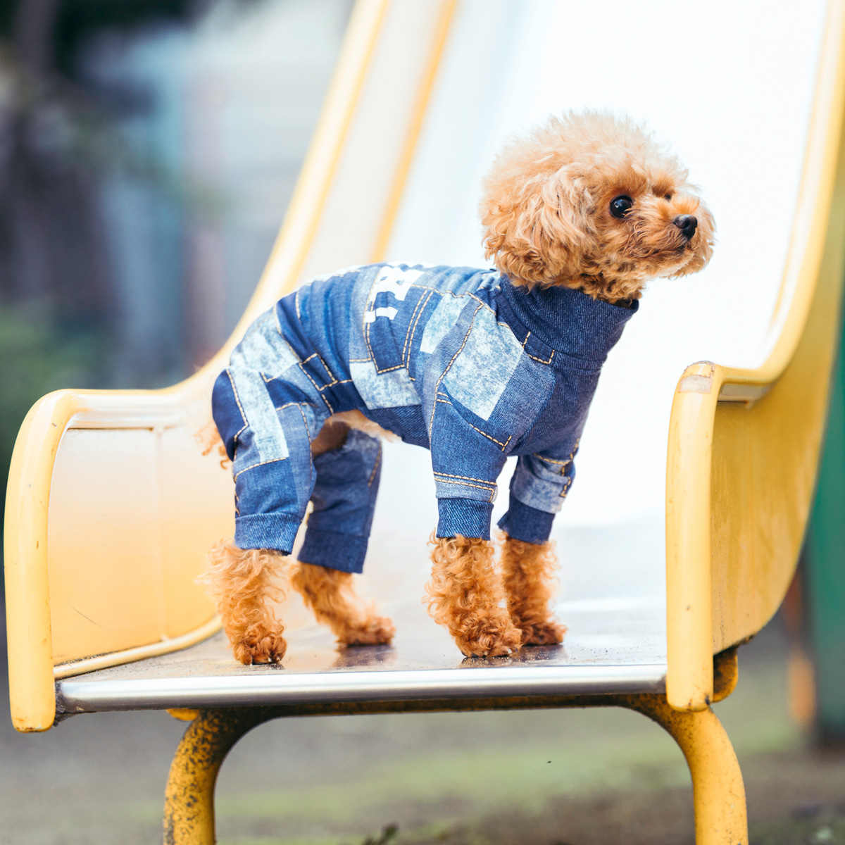 RADICA（ラディカ） 【1,290円均一/まとめ買い対象】犬 服 接触冷感 虫