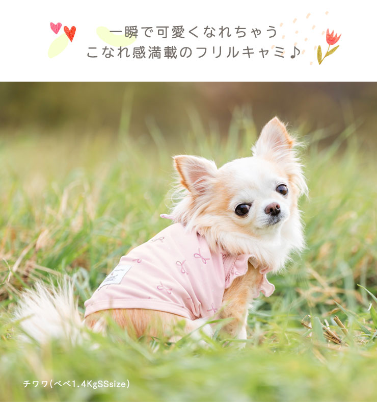 【まとめ買い対象】犬 服 接触冷感 虫よけ ラディカ クール フリル キャミ ドッグウエア プレサーモC25 防蚊 水着素材 メール便可｜radica｜13