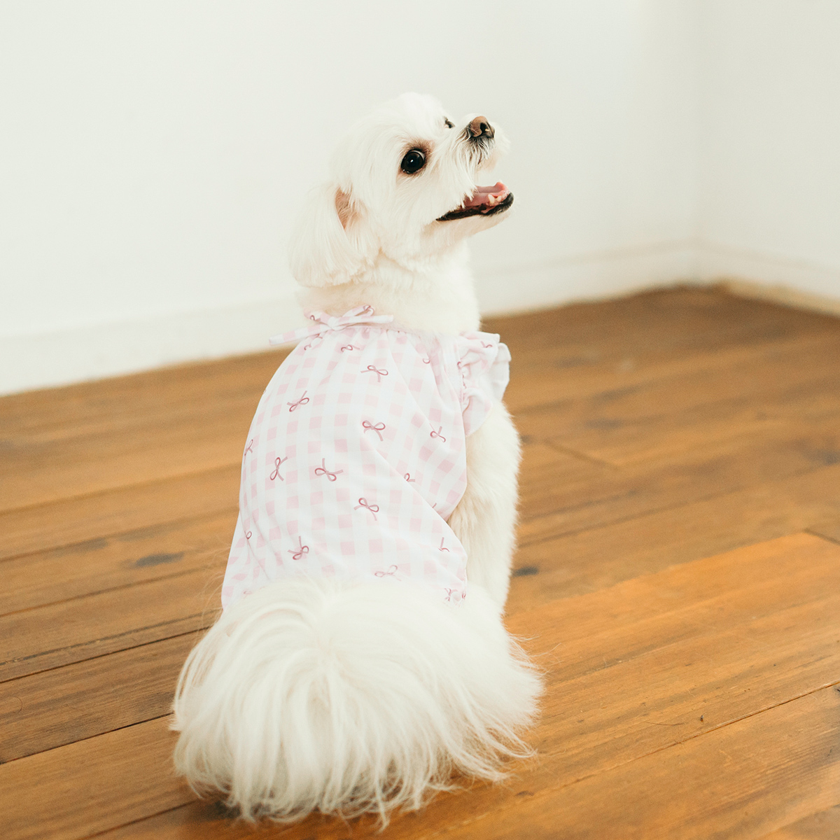 犬の服（柄：チェック）｜犬服、アクセサリー｜犬用品｜ペット用品