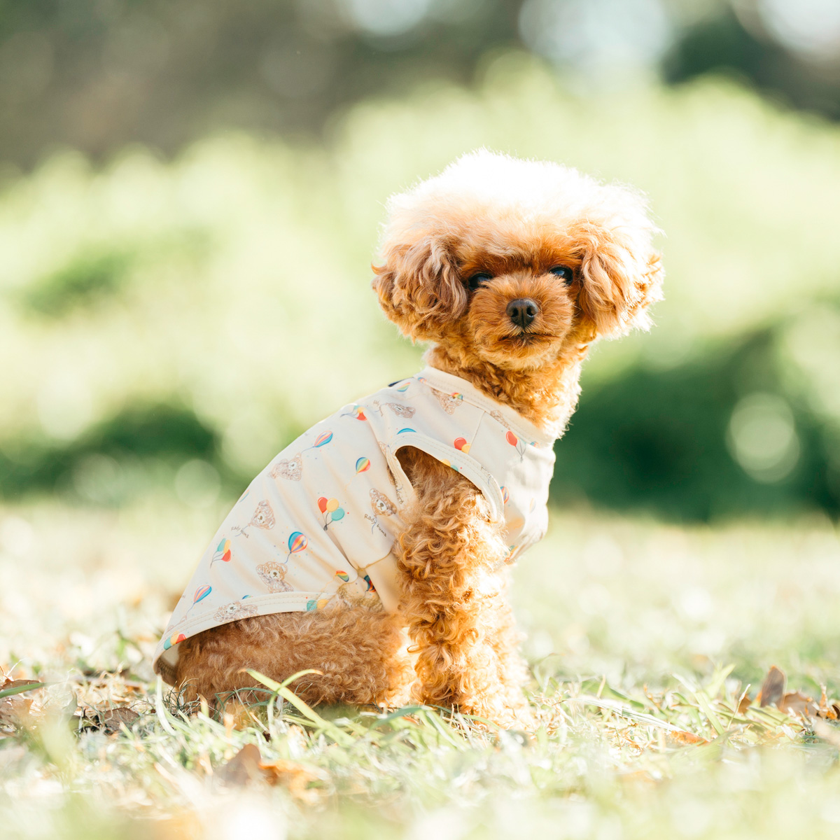 RADICA（ラディカ） 【まとめ買い対象】犬 服 接触冷感 虫よけ 防虫