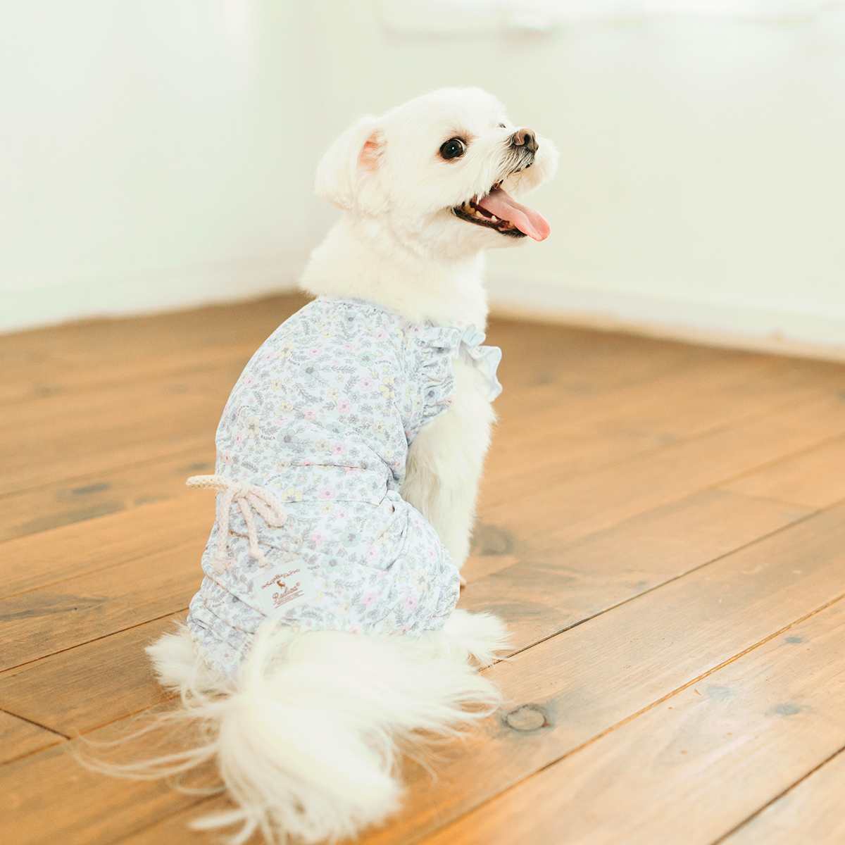 犬用ロンパース（柄：花柄、フラワー）の商品一覧 通販 - Yahoo