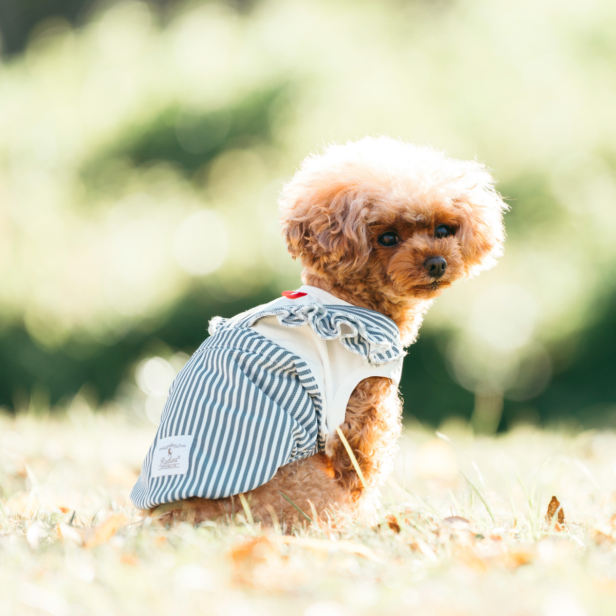 犬の服（柄：花柄、フラワー）｜犬服、アクセサリー｜犬用品｜ペット