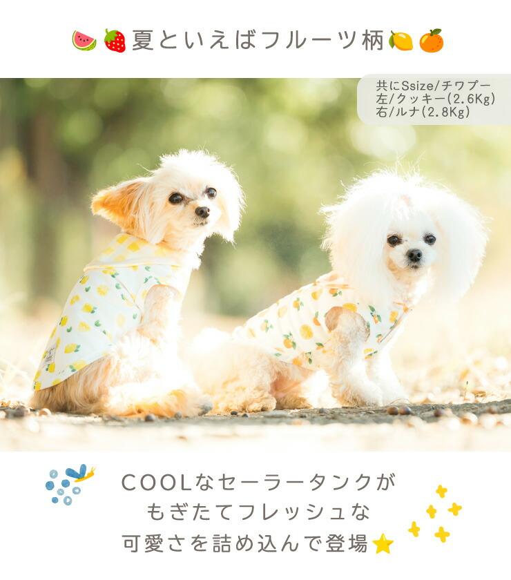 【まとめ買い】 犬 服 接触冷感 虫よけ ラデ...の詳細画像4