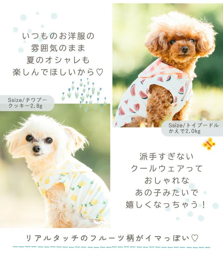 【まとめ買い】 犬 服 接触冷感 虫よけ ラデ...の詳細画像5
