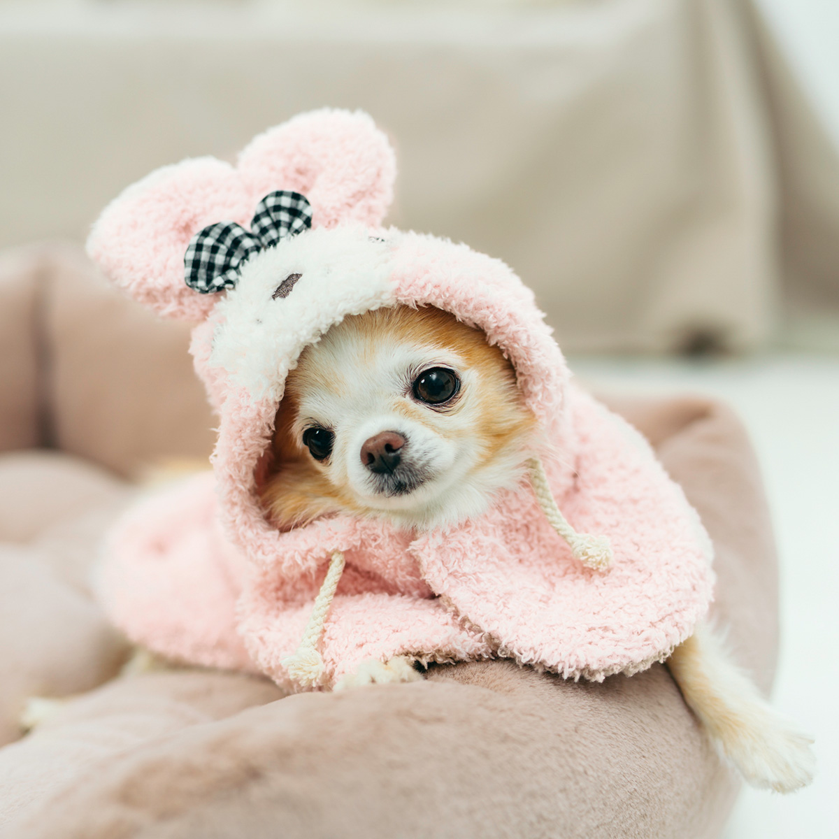 RADICA（ラディカ） 【均一SALE】犬 服 ボアドライブ毛布 毛布ポンチョ