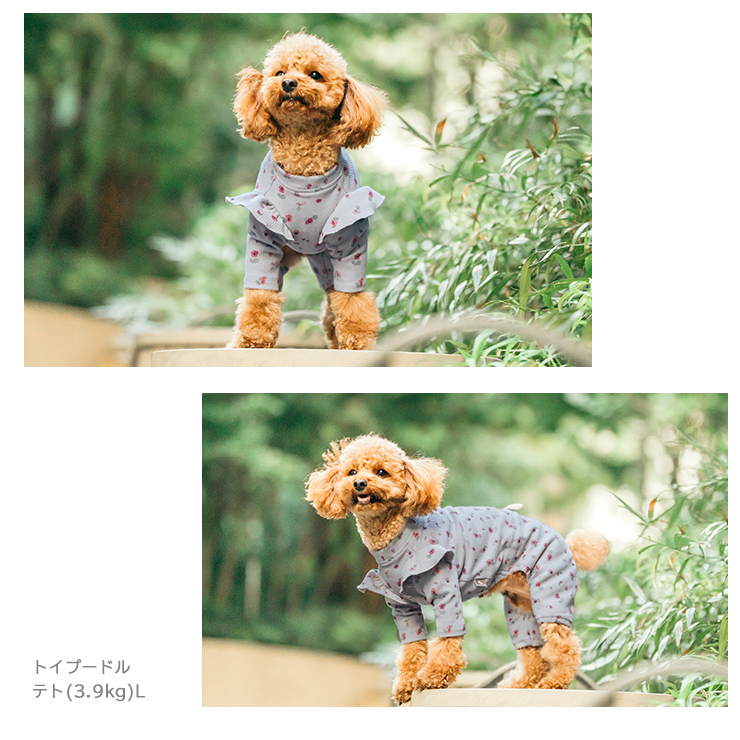 RADICA（ラディカ） 【まとめ買い/990円均一】犬 服 フラワーロング