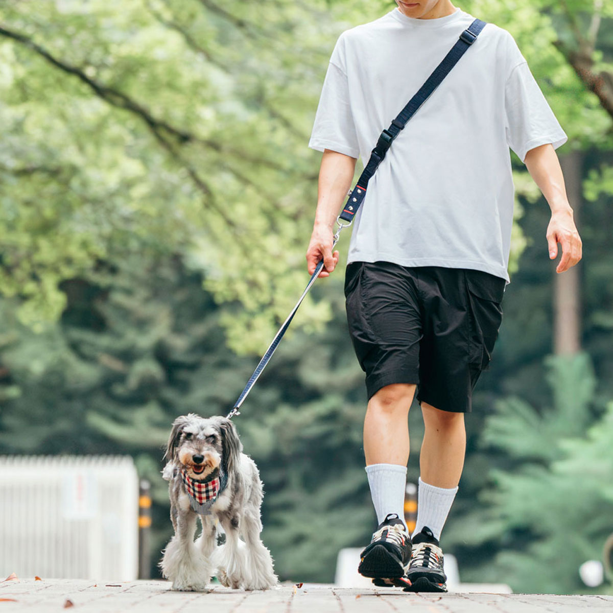 RADICA（ラディカ） 【まとめ買い対象】犬用 リード ショルダーリード