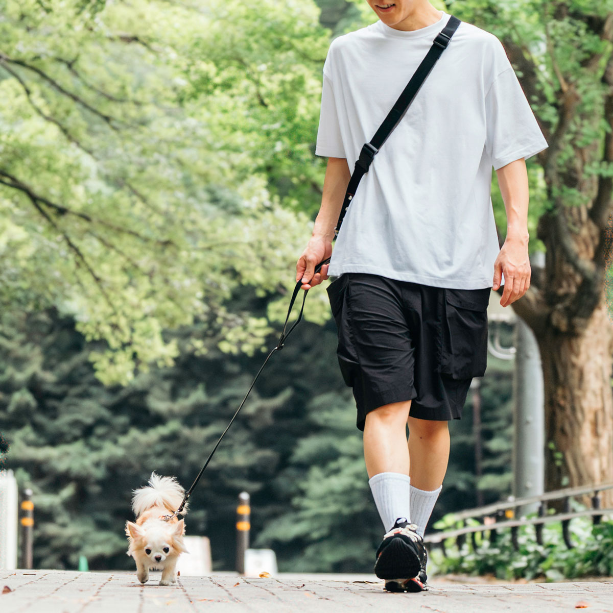 【まとめ買い対象】犬用 リード ラディカ  ショルダーリード 耐荷重〜7Kgまで 肩掛けリード 多機能リード メール便可 | RADICA | 02