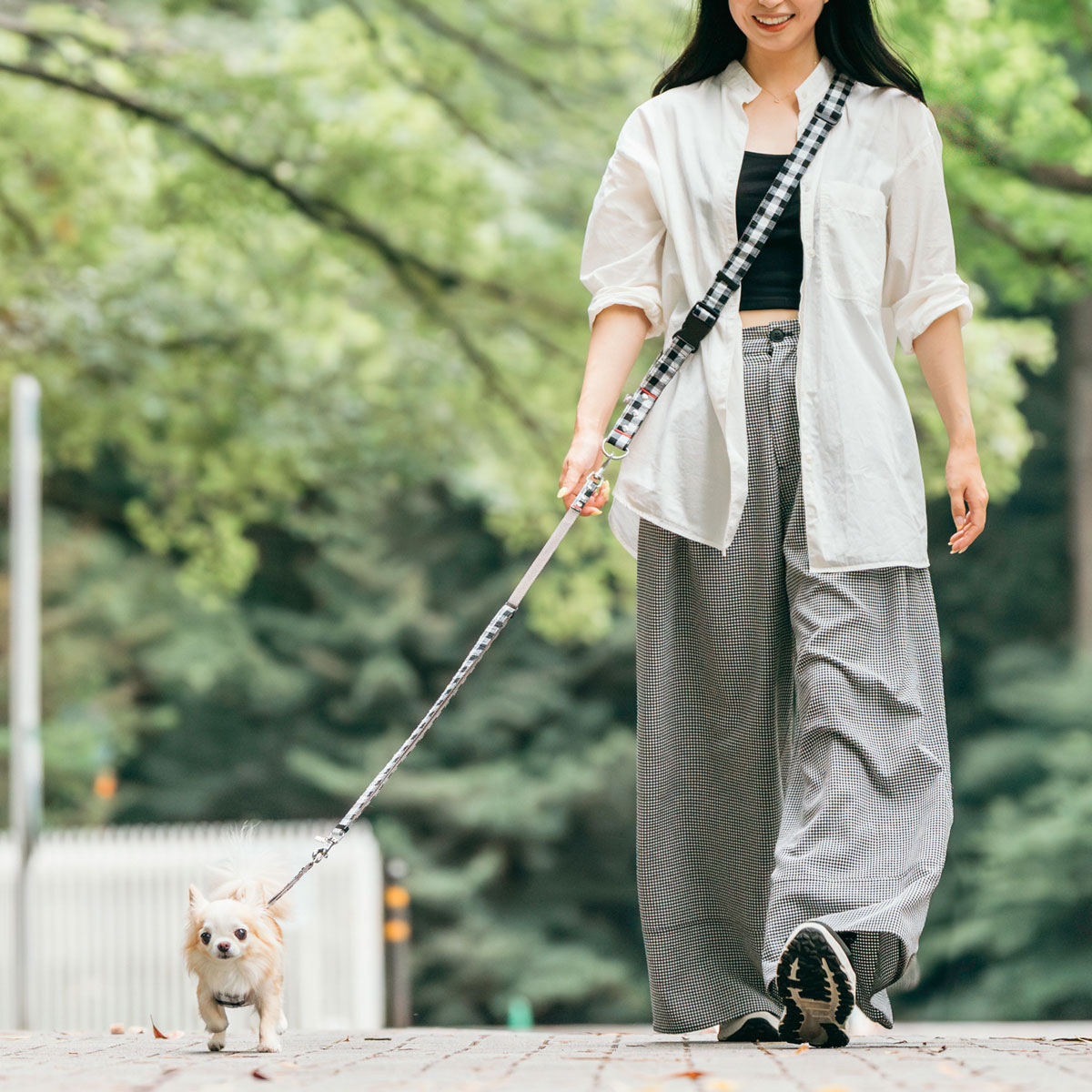 RADICA（ラディカ） 【300円OFF】 犬用 リード ショルダーリード 耐