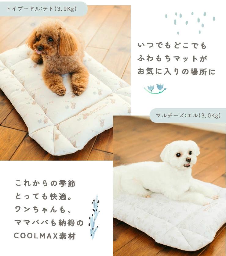 RADICA（ラディカ） 【まとめ買い対象】犬 猫 COOLMAX×パイル パターン