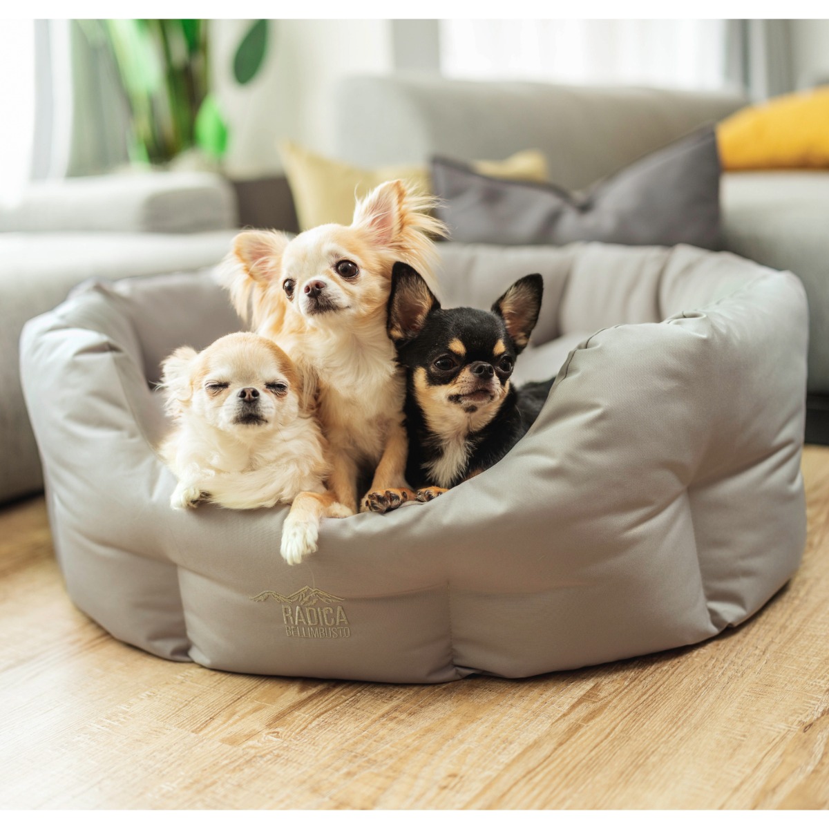 RADICA（ラディカ） 【まとめ買い対象】犬 猫 ベッド コーデュラ