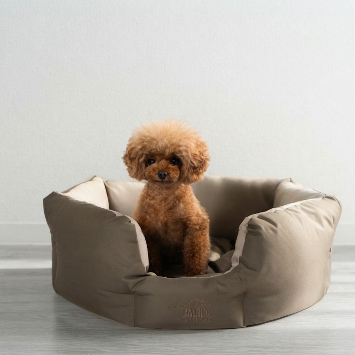 RADICA（ラディカ） 【新色追加/まとめ買い対象】【ご愛顧SALE】犬 猫