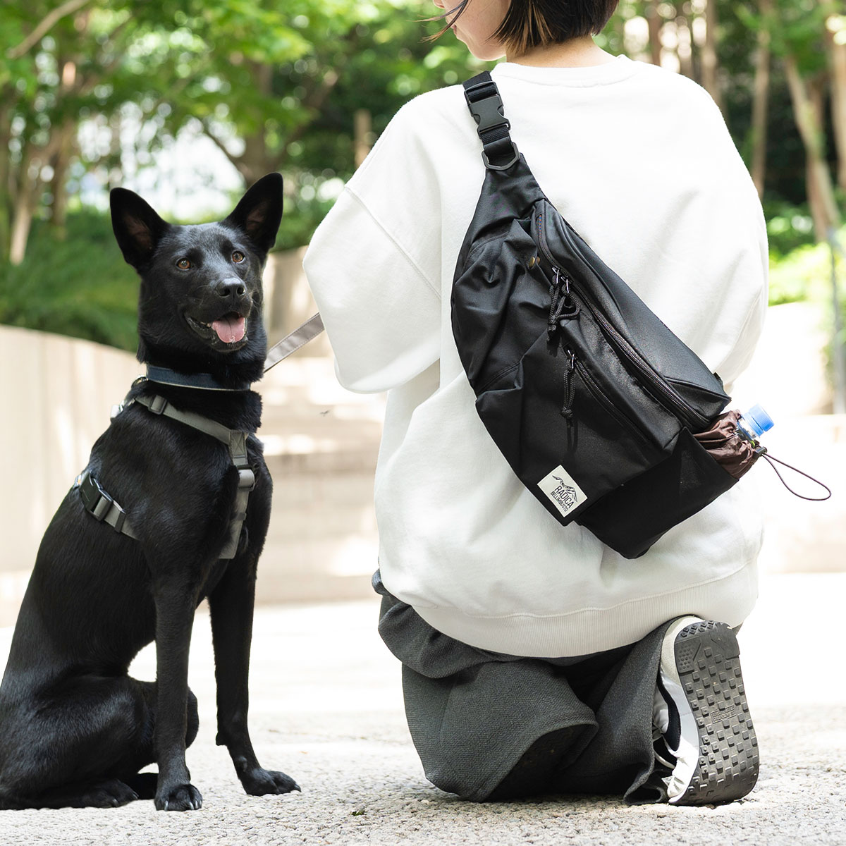 RADICA（ラディカ） 【まとめ買い対象】犬 マナー コーデュラ 2WAY お