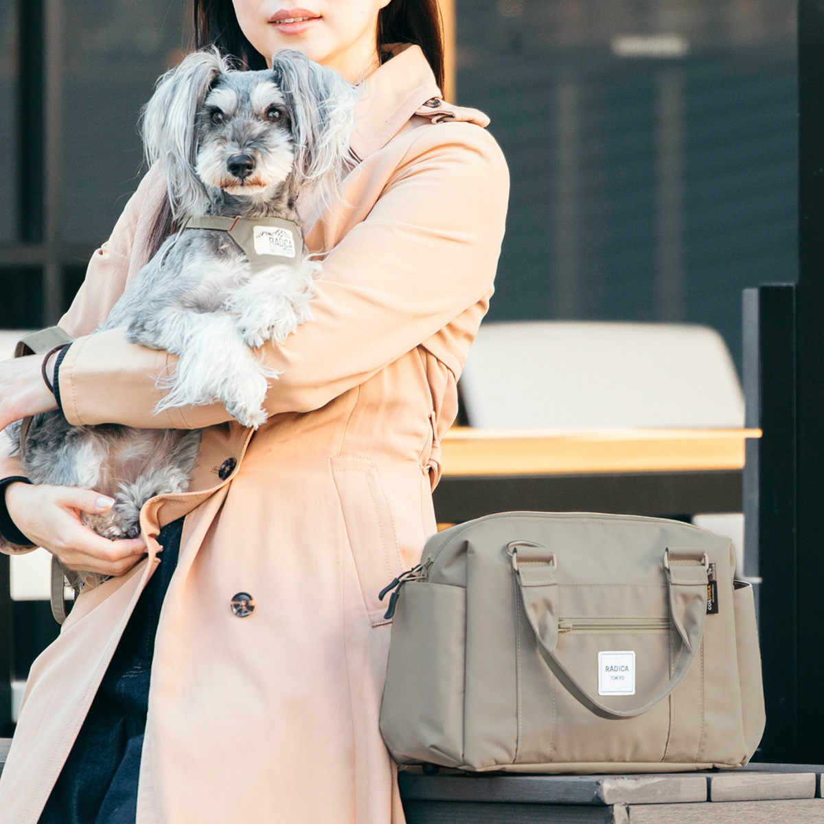 RADICA（ラディカ） 【特価/まとめ買い対象】犬 マナー コーデュラ