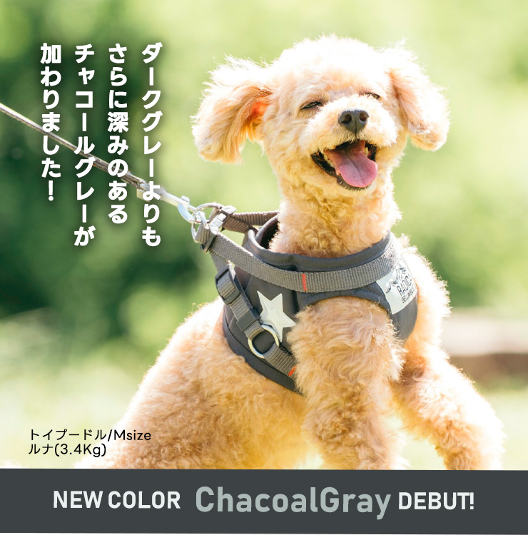 RADICA（ラディカ） 【まとめ買い対象】【新色追加】犬 コーデュラ
