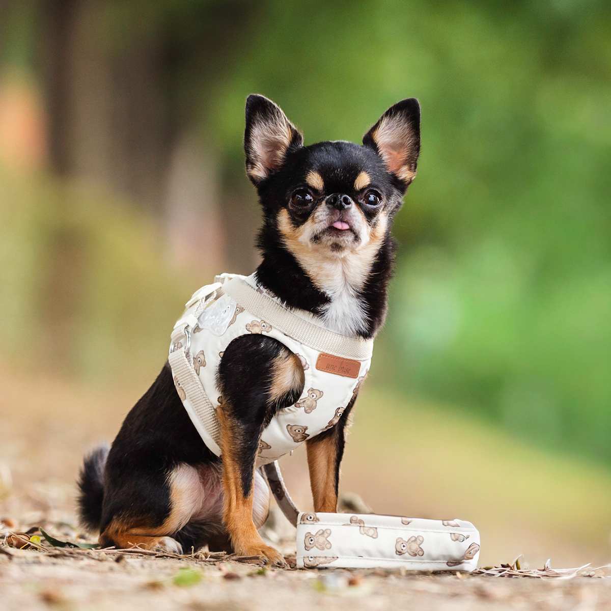 【まとめ買い対象】【新色追加】犬 ラディカ コーデュラ ハーネス ( リード 付き) S M L LLサイズ 撥水 手洗い メール便可 | RADICA | 07