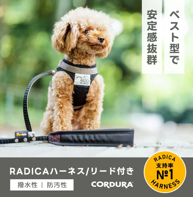 【まとめ買い対象】【新色追加】犬 ラディカ コーデュラ ハーネス ( リード 付き) S M L LLサイズ 撥水 手洗い メール便可 関連画像1