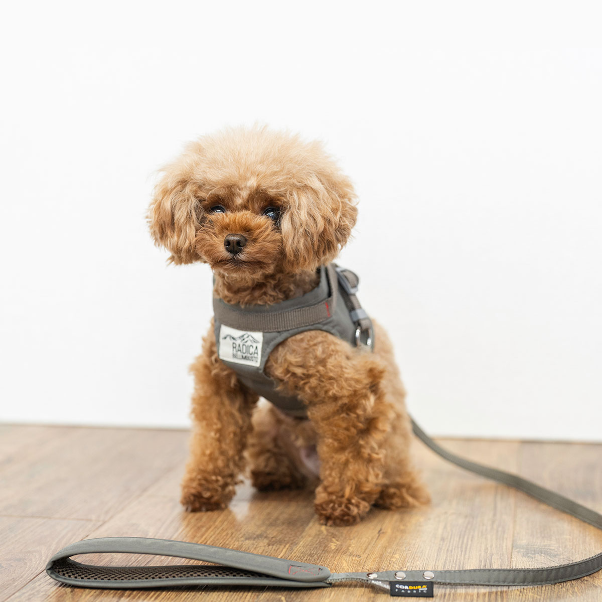 RADICA（ラディカ） 【まとめ買い対象】【新色追加】犬 コーデュラ
