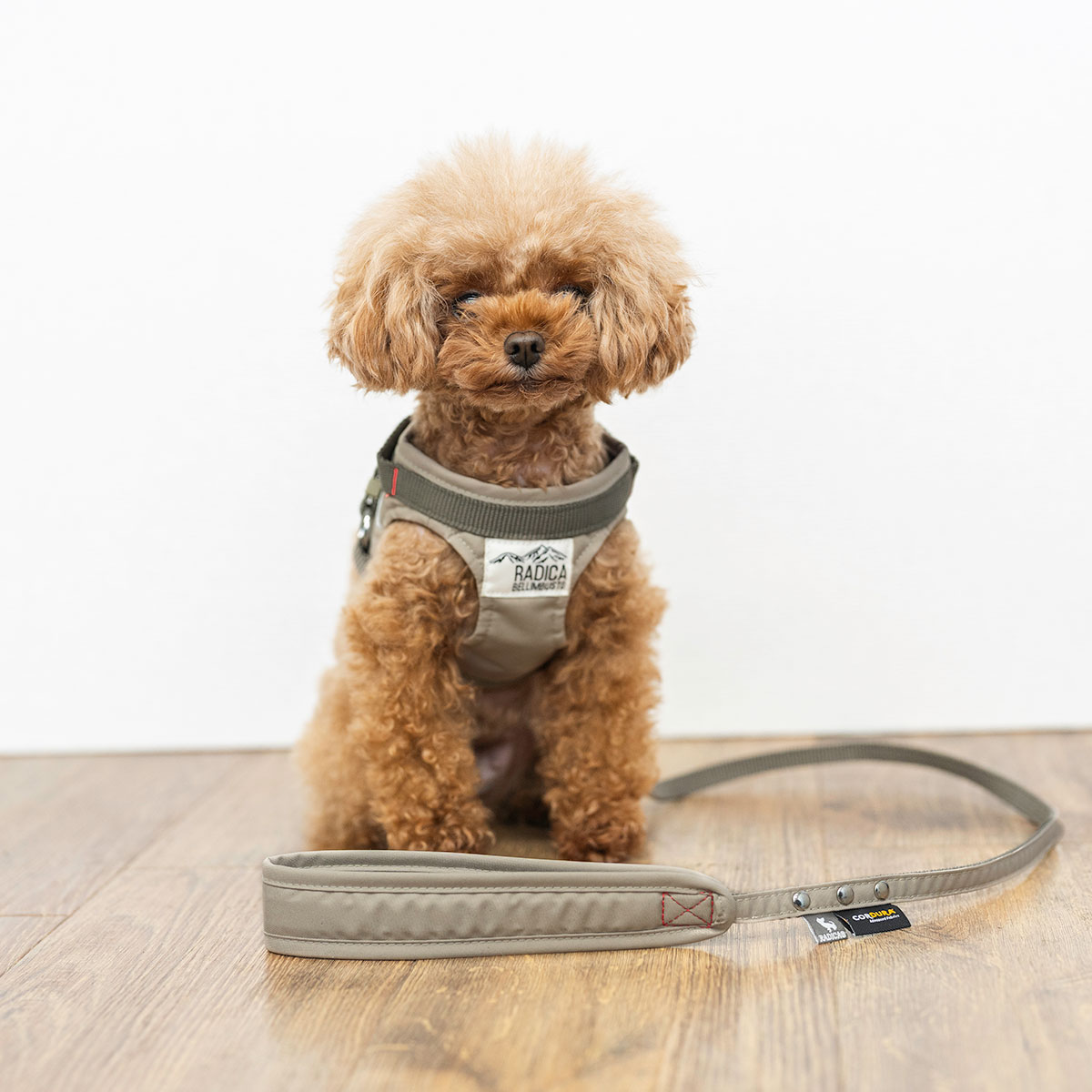 【まとめ買い対象】【新色追加】犬 ラディカ コーデュラ ハーネス ( リード 付き) S M L LLサイズ 撥水 手洗い メール便可 | RADICA | 04