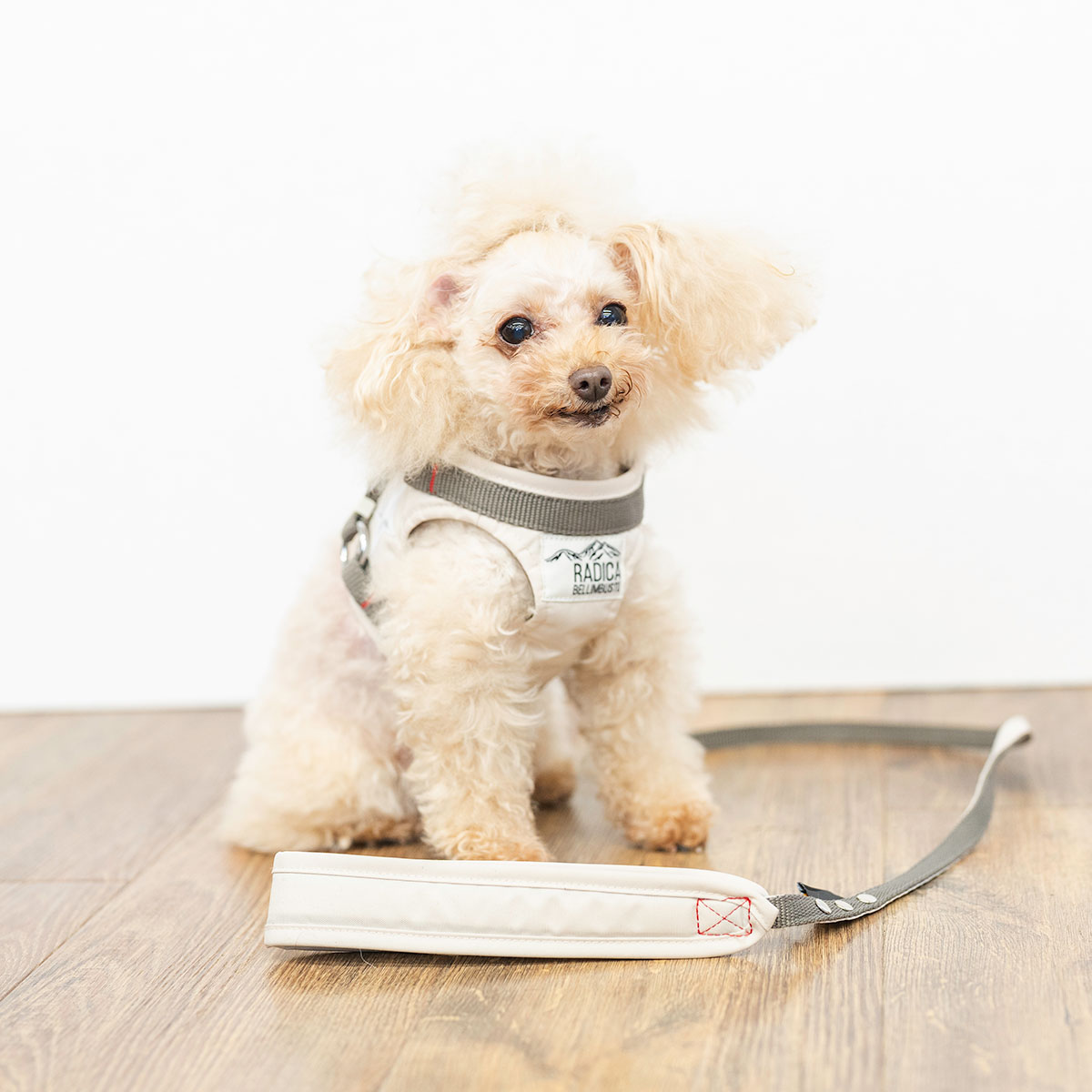 【まとめ買い対象】【新色追加】犬 ラディカ コーデュラ ハーネス ( リード 付き) S M L LLサイズ 撥水 手洗い メール便可 | RADICA | 05
