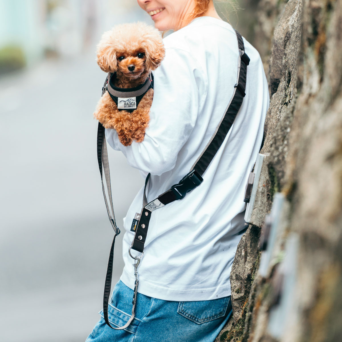 RADICA（ラディカ） 爆買 【ご愛顧SALE】【新色追加】犬 コーデュラ