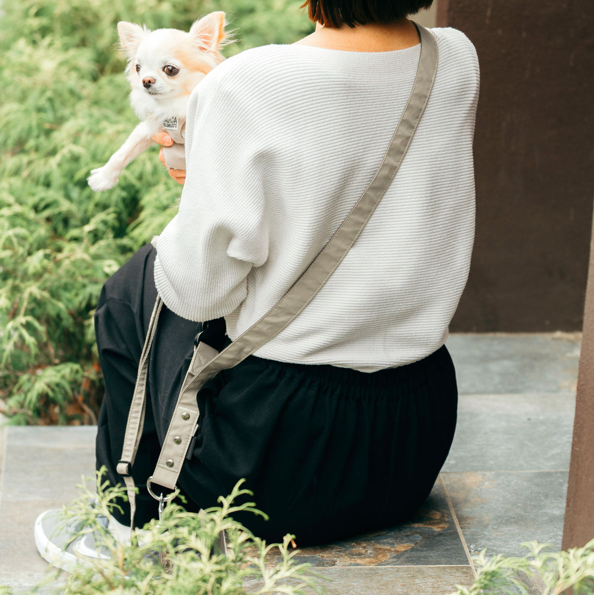 【まとめ買い対象】犬 コーデュラショルダリード  小型犬 犬用  肩掛けリード ハンズフリー ラディカ radica  耐久性 〜7kg メール便可 | RADICA | 02