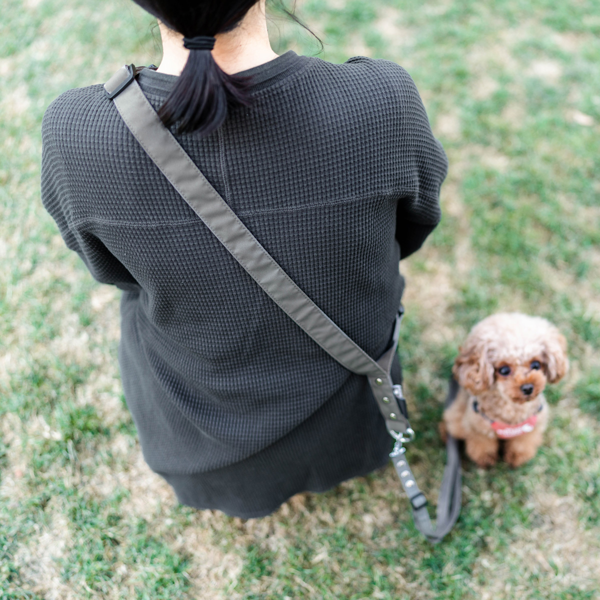 【まとめ買い対象】犬 コーデュラショルダリード  小型犬 犬用  肩掛けリード ハンズフリー ラディカ radica  耐久性 〜7kg メール便可 | RADICA | 03