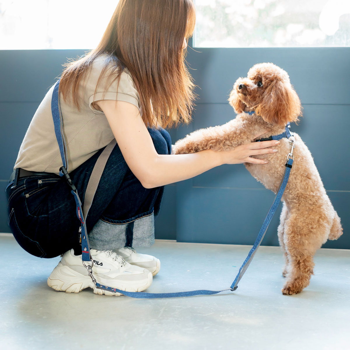 【まとめ買い対象】犬 コーデュラショルダリード  小型犬 犬用  肩掛けリード ハンズフリー ラディカ radica  耐久性 〜7kg メール便可 | RADICA | 05
