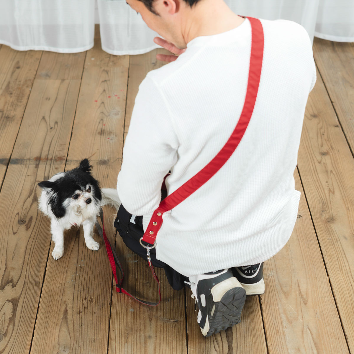 【まとめ買い対象】犬 コーデュラショルダリード  小型犬 犬用  肩掛けリード ハンズフリー ラディカ radica  耐久性 〜7kg メール便可 | RADICA | 07