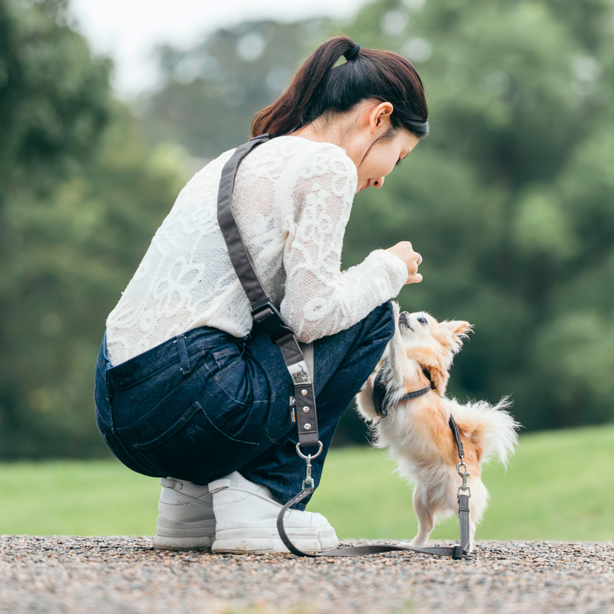 RADICA（ラディカ） 【ご愛顧SALE】【新色追加】犬 コーデュラショルダ