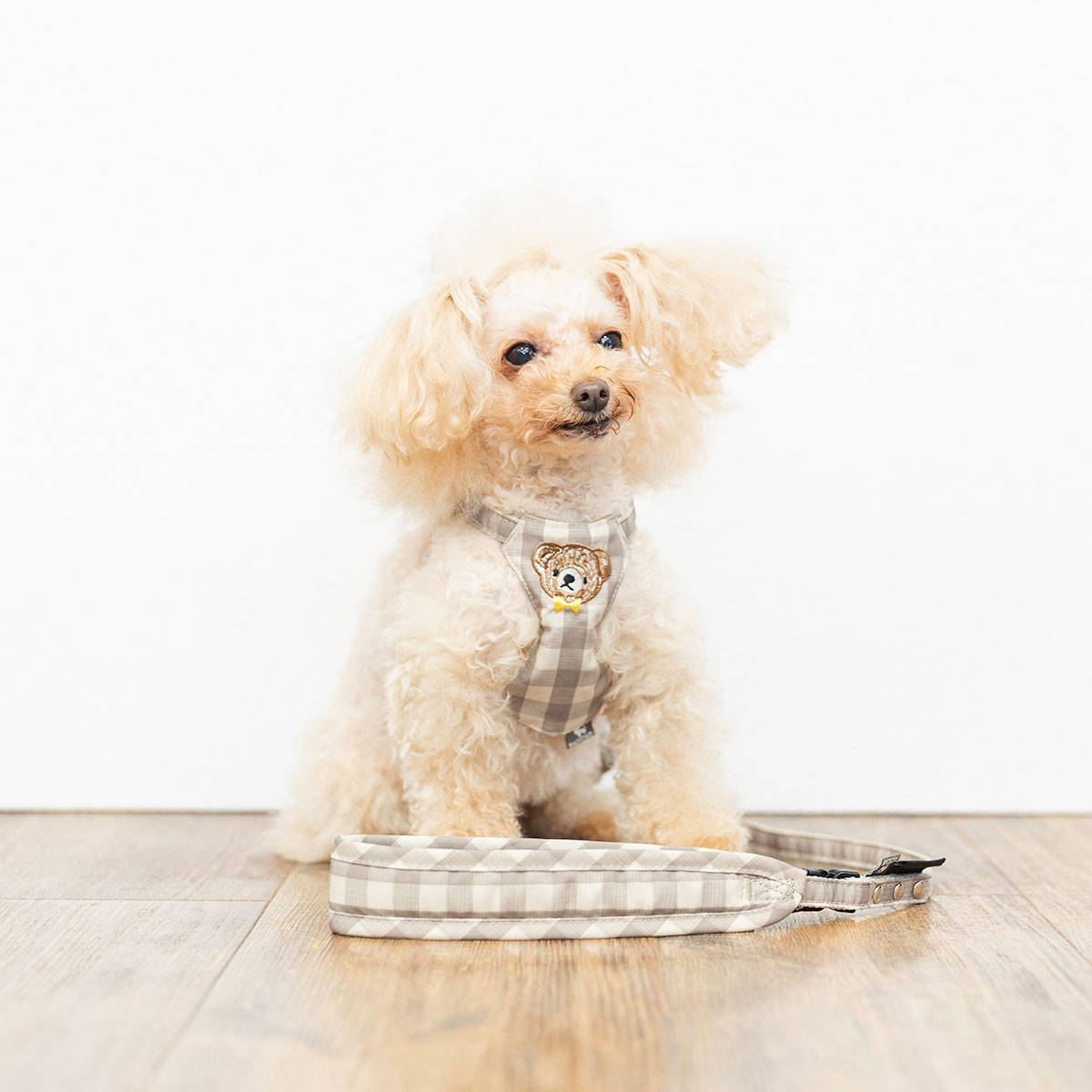 【まとめ買い対象】新色追加 犬 ハーネス ラディカ コーデュラ クラシックハーネス＆リード S M 撥水 手洗い 迷子防止 メール便可 | RADICA | 05