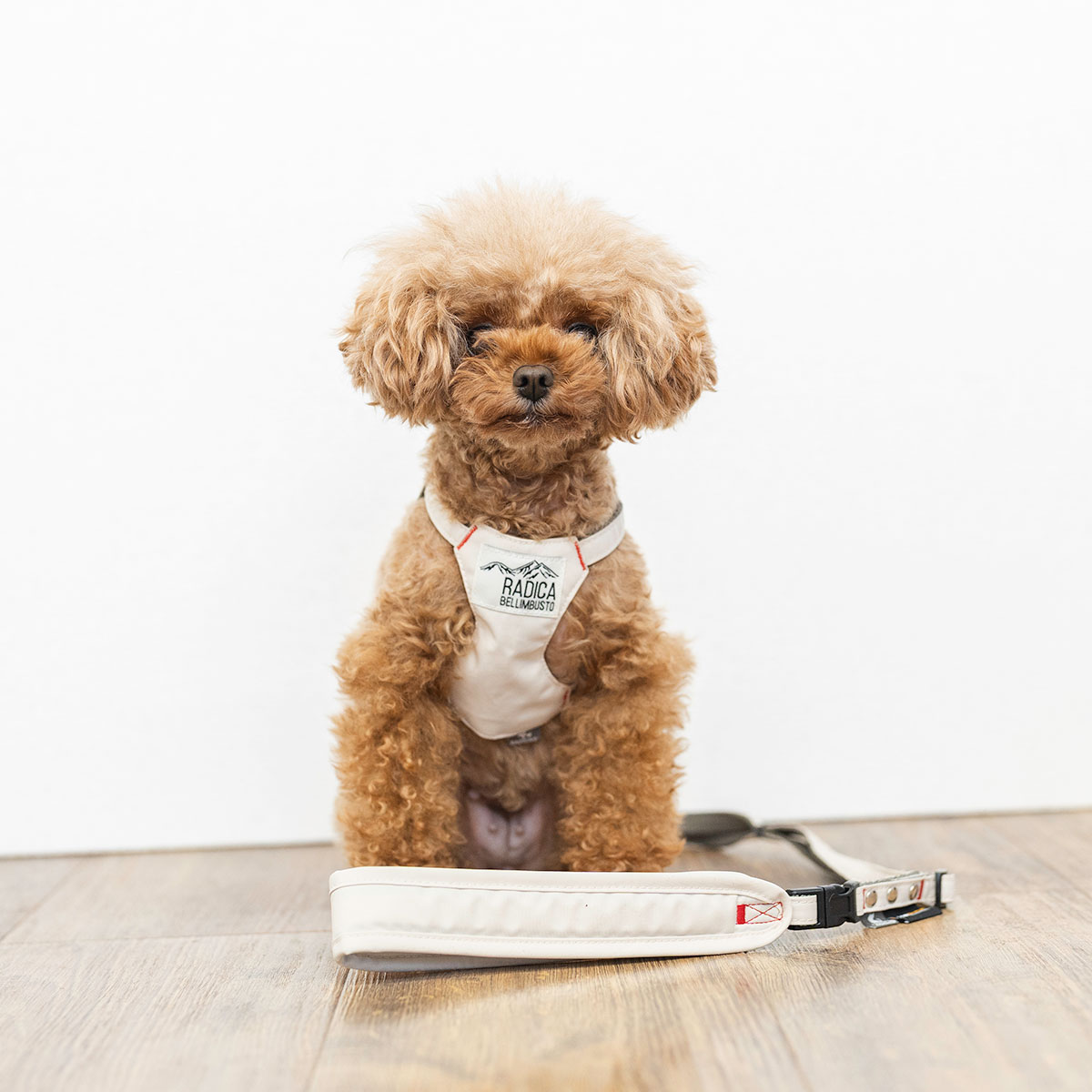 【まとめ買い対象】新色追加 犬 ハーネス ラディカ コーデュラ クラシックハーネス＆リード S M 撥水 手洗い 迷子防止 メール便可 | RADICA | 07