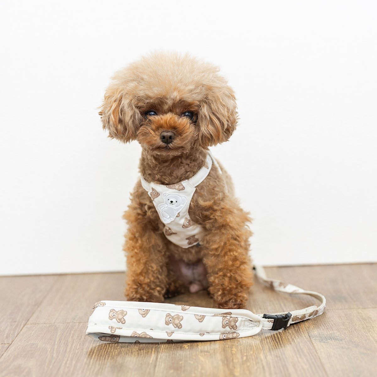 【まとめ買い対象】新色追加 犬 ハーネス ラディカ コーデュラ クラシックハーネス＆リード S M 撥水 手洗い 迷子防止 メール便可 | RADICA | 08