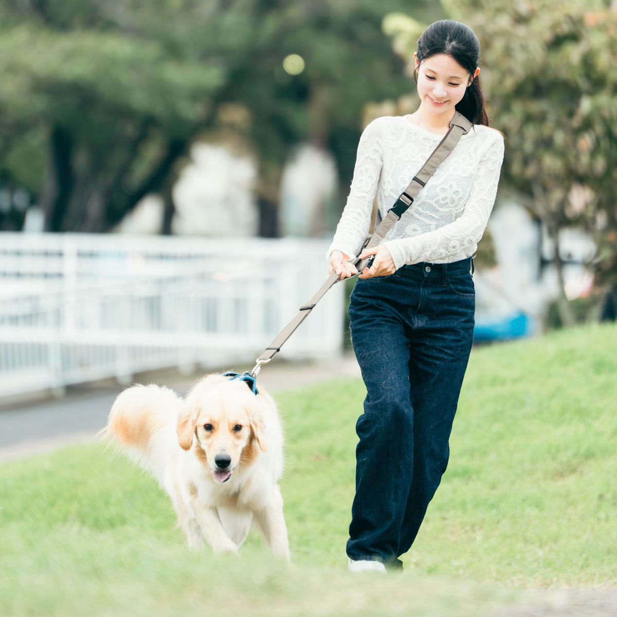 【まとめ買い対象】犬用 大型犬 ラディカ コーデュラ(R) ショルダーリード 耐荷重〜35Kgまで 肩掛けリード 手洗い メール便不可 | RADICA | 01