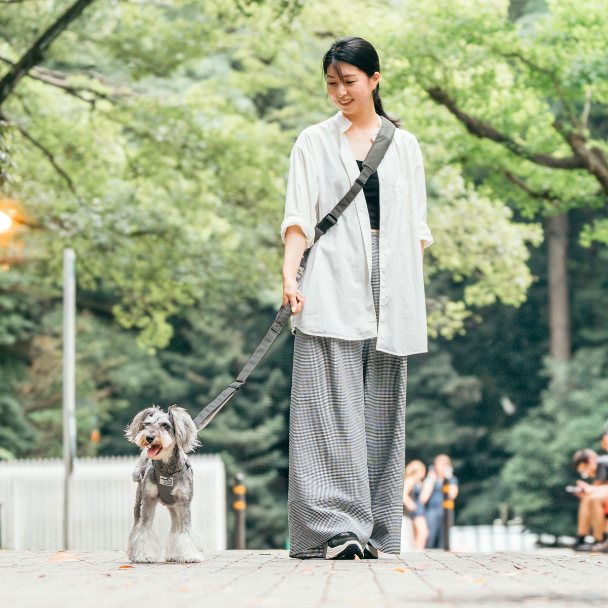 【まとめ買い対象】犬用 大型犬 ラディカ コーデュラ(R) ショルダーリード 耐荷重〜35Kgまで 肩掛けリード 手洗い メール便不可 | RADICA | 02