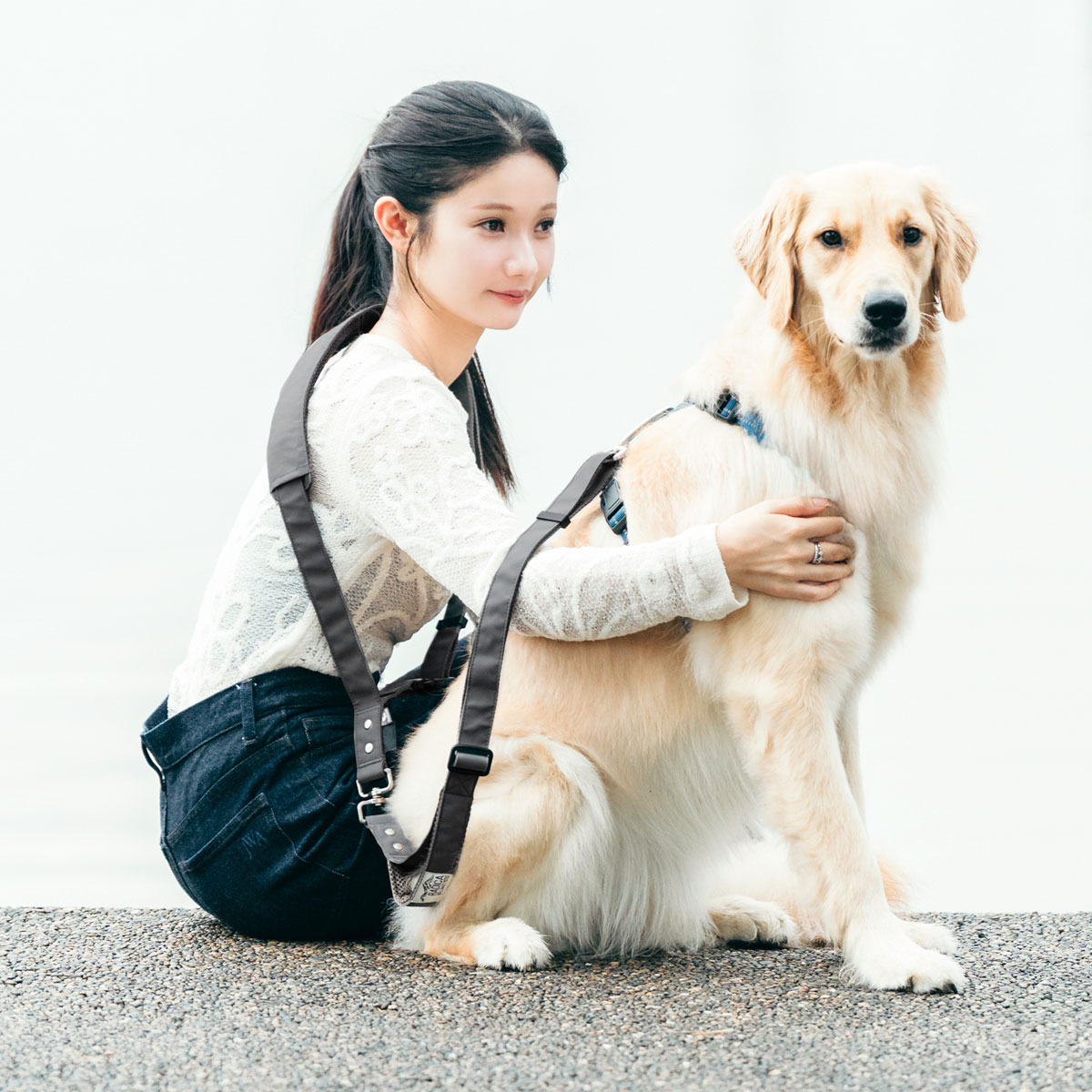 RADICA（ラディカ） 【ご愛顧価格300円OFF】犬用 大型犬 コーデュラ(R