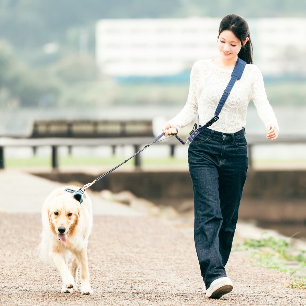 RADICA（ラディカ） 【ご愛顧SALE】 【新色追加】犬用 大型犬 コーデュラ(R) ショルダーリード 耐荷重〜35Kgまで 肩掛けリード 手洗い  メール便不可 : 犬の服 RADICA - 通販 - Yahoo!ショッピング