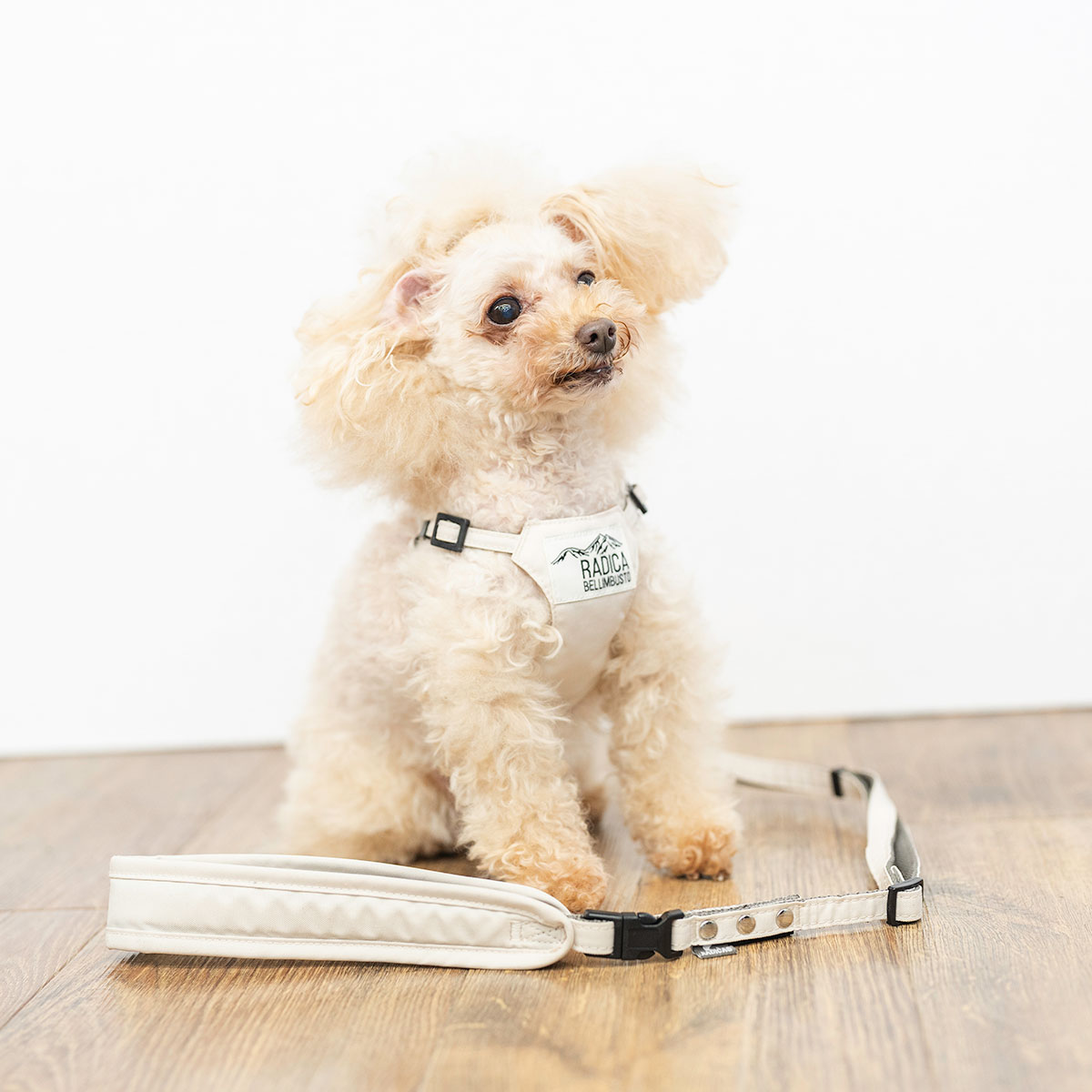 【まとめ買い対象】【新色追加】犬 ハーネス ラディカ コーデュラ ソフトハーネス リード付き 胴輪 手洗い 迷子防止 メール便可 | RADICA | 04