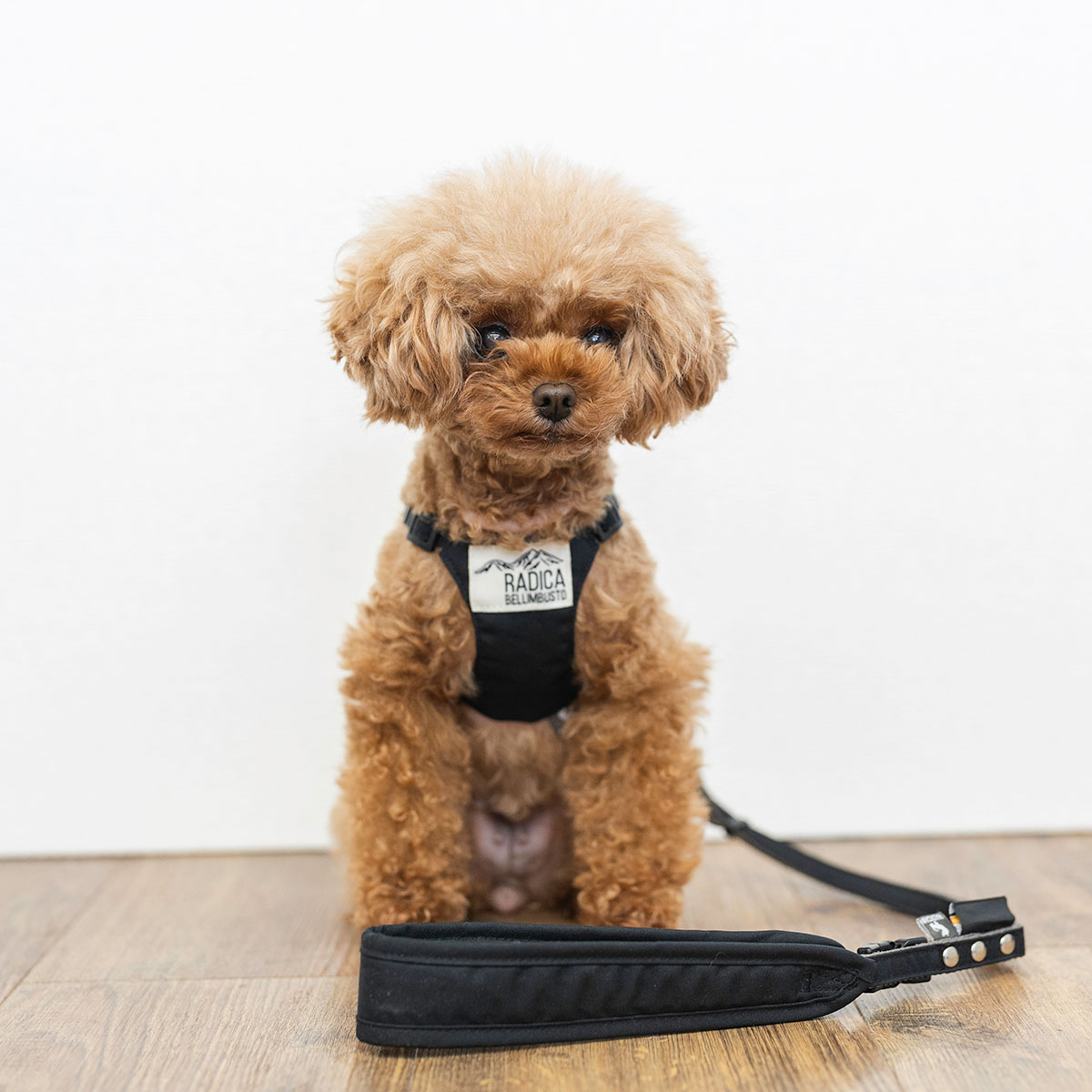 【まとめ買い対象】【新色追加】犬 ハーネス ラディカ コーデュラ ソフトハーネス リード付き 胴輪 手洗い 迷子防止 メール便可 | RADICA | 07