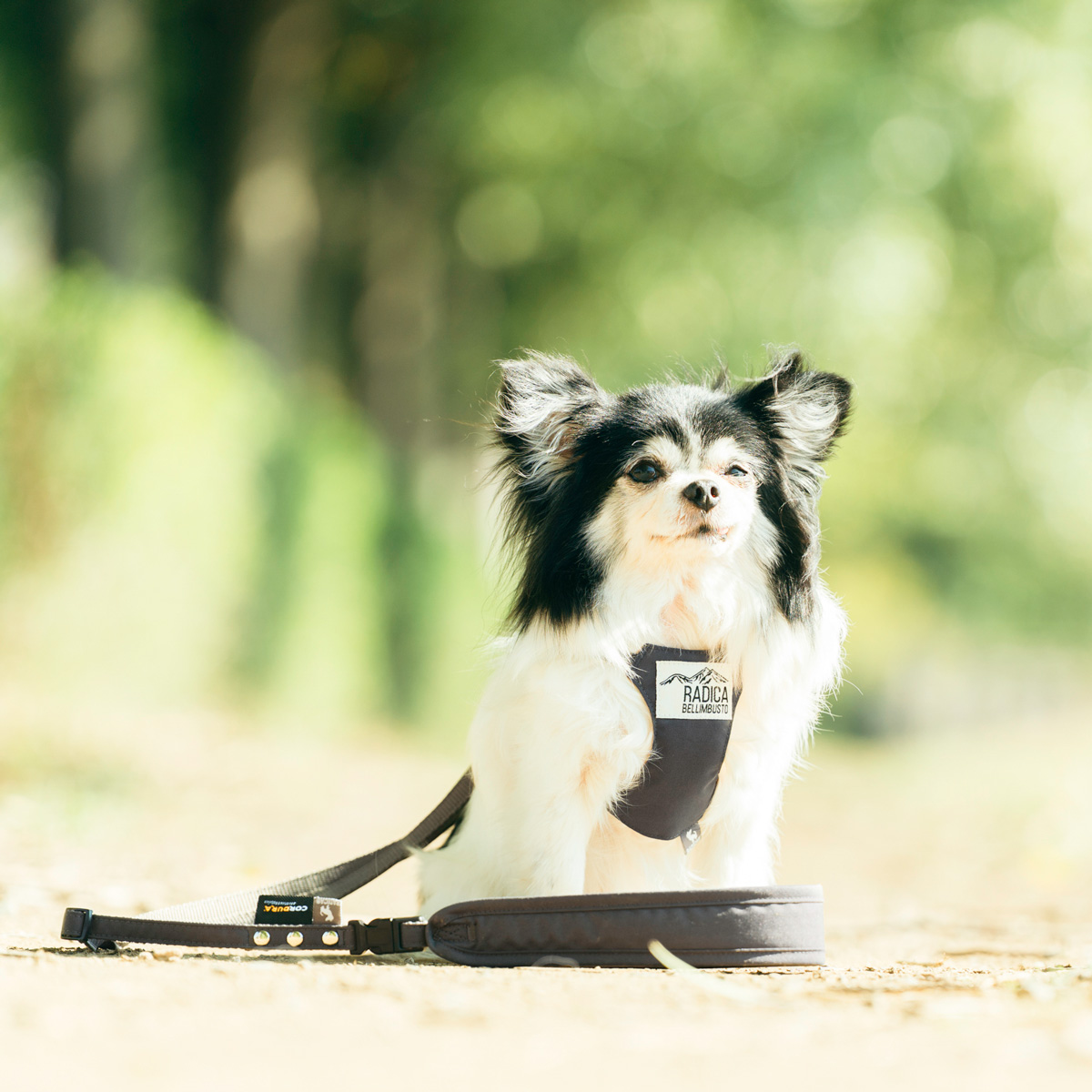 【まとめ買い対象】【新色追加】犬 ハーネス ラディカ コーデュラ ソフトハーネス リード付き 胴輪 手洗い 迷子防止 メール便可 | RADICA | 08