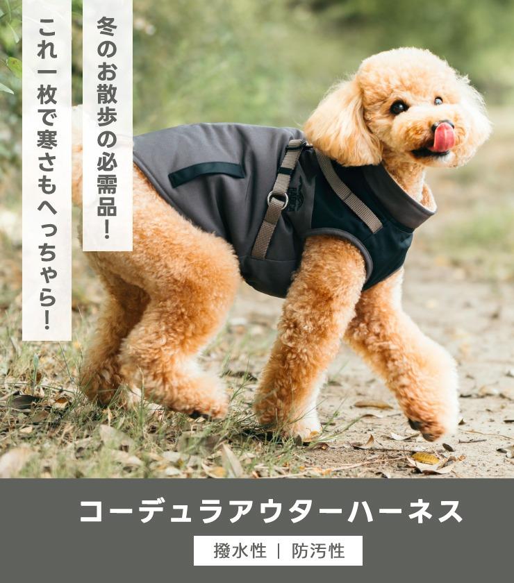 【予約9月25日順次発送】【早割20%OFF】...の詳細画像1