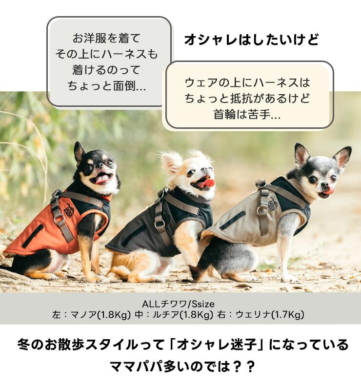 【予約9月25日順次発送】【早割20%OFF】...の詳細画像3