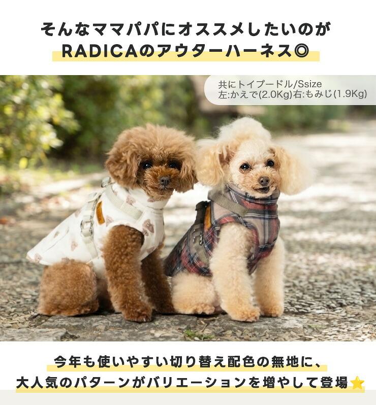 【予約9月25日順次発送】【早割20%OFF】...の詳細画像4