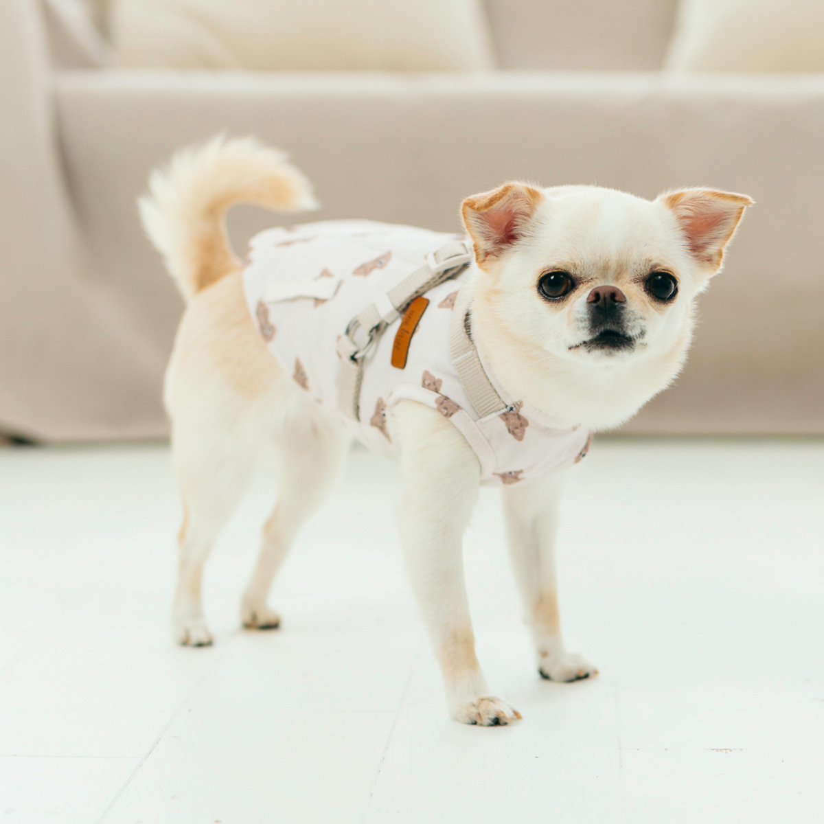 RADICA（ラディカ） 【ご愛顧最大1400円OFF】犬 服 コーデュラ 裏