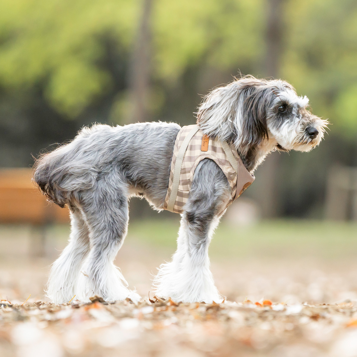 まとめ買い対象】犬 ハーネス ラディカ コーデュラ ジャストハーネス 1 