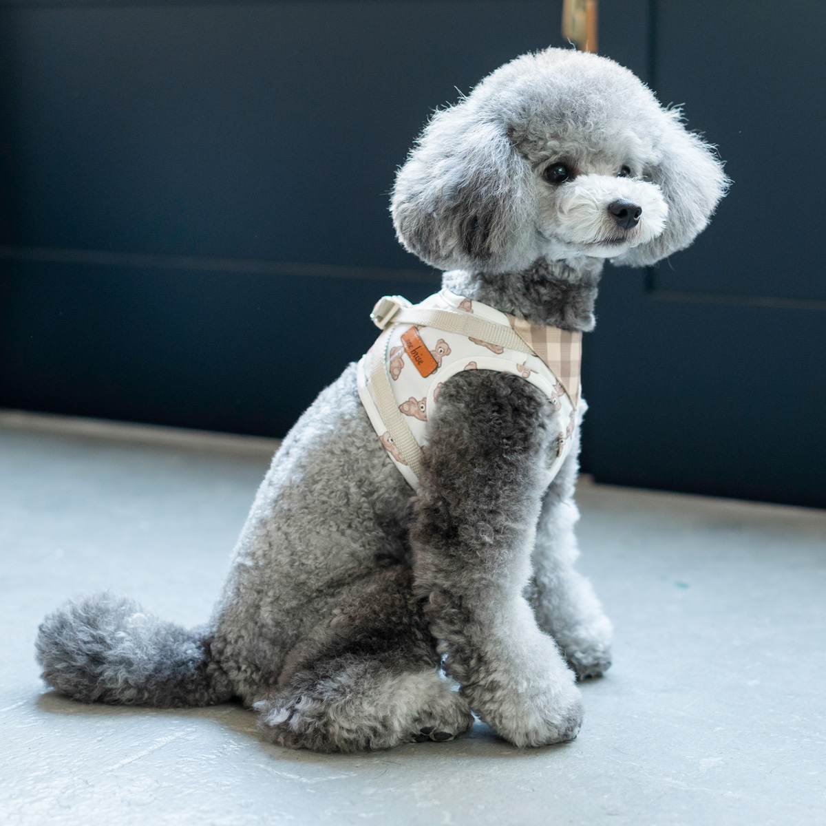 ご愛顧SALE】犬 ハーネス ラディカ コーデュラ ジャストハーネス 1〜5