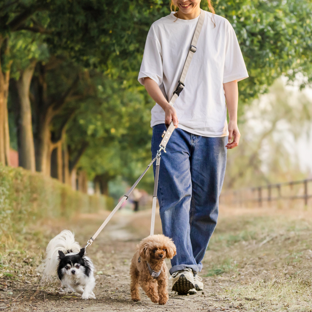 RADICA（ラディカ） 爆買 【まとめ買いクーポン対象】【300円OFF】犬用