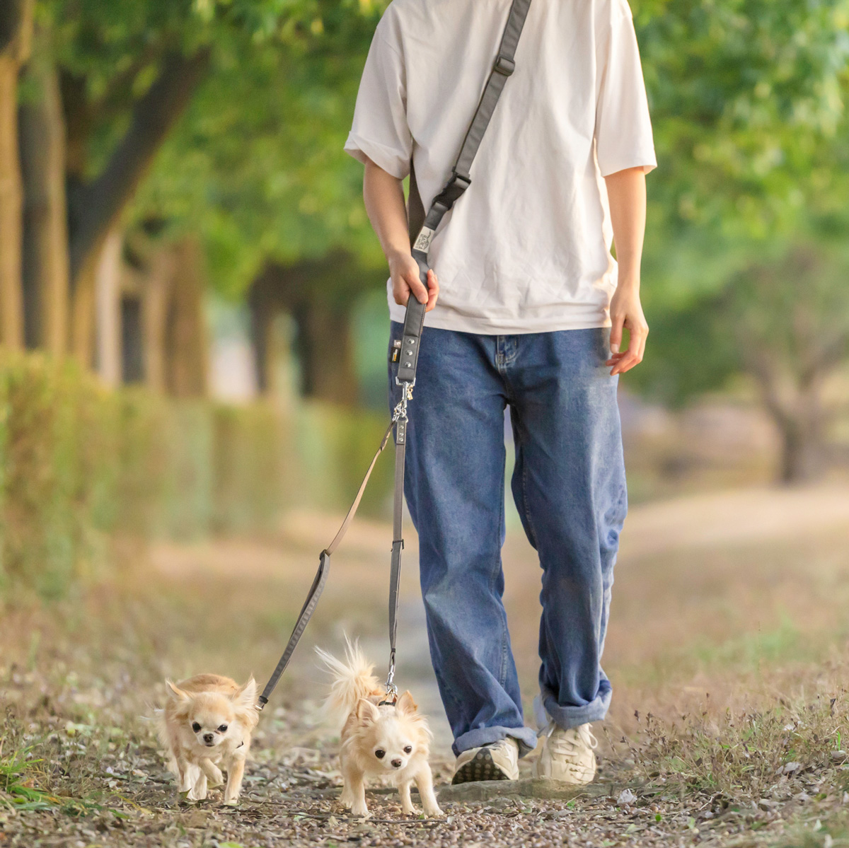 RADICA（ラディカ） 爆買 【まとめ買いクーポン対象】【300円OFF】犬用