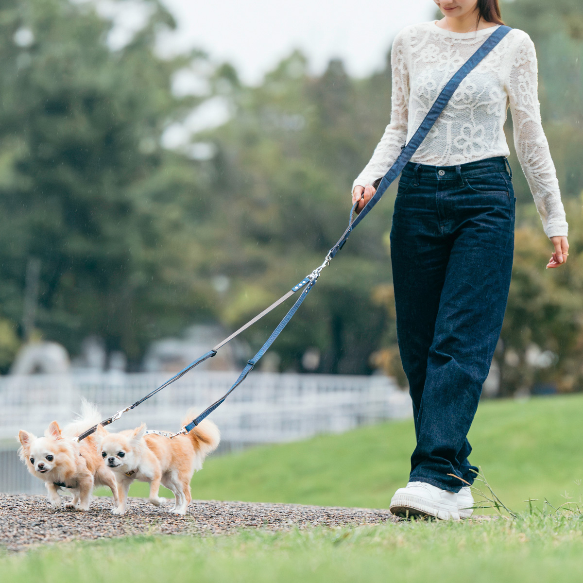 RADICA（ラディカ） 【ご愛顧SALE】【新色追加】犬用 リード ツイン