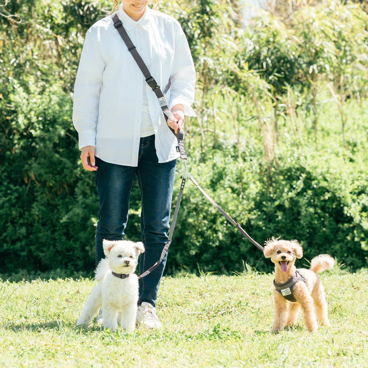 RADICA（ラディカ） 【まとめ買い対象】犬用 リード ツインリード M